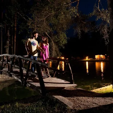 Lodge Bungalovi Camping Sobec Lesce (Upper Carniola)
