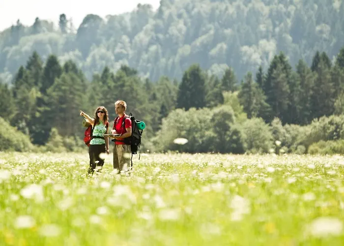 Lodge Bungalovi Camping Sobec *