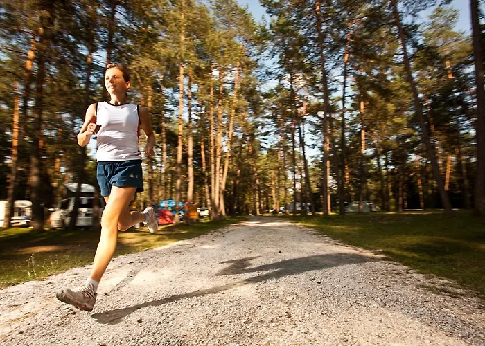 Bungalovi Camping Sobec *